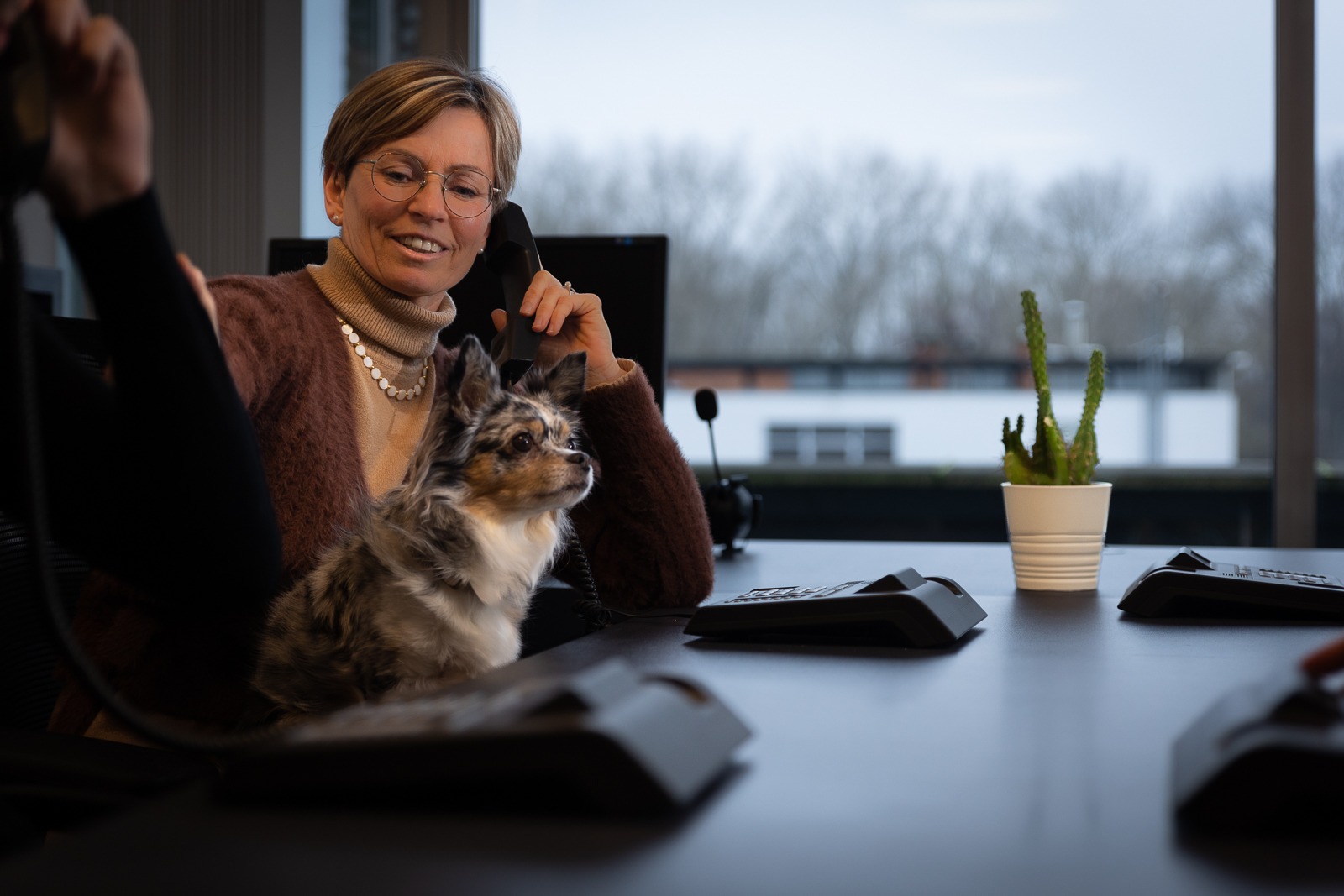 Dienst telefonie